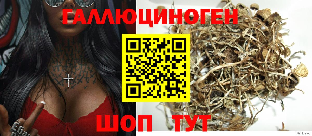 Качканар  Псилоцибиновые грибы мицелий  наркота  Вход с VPN 