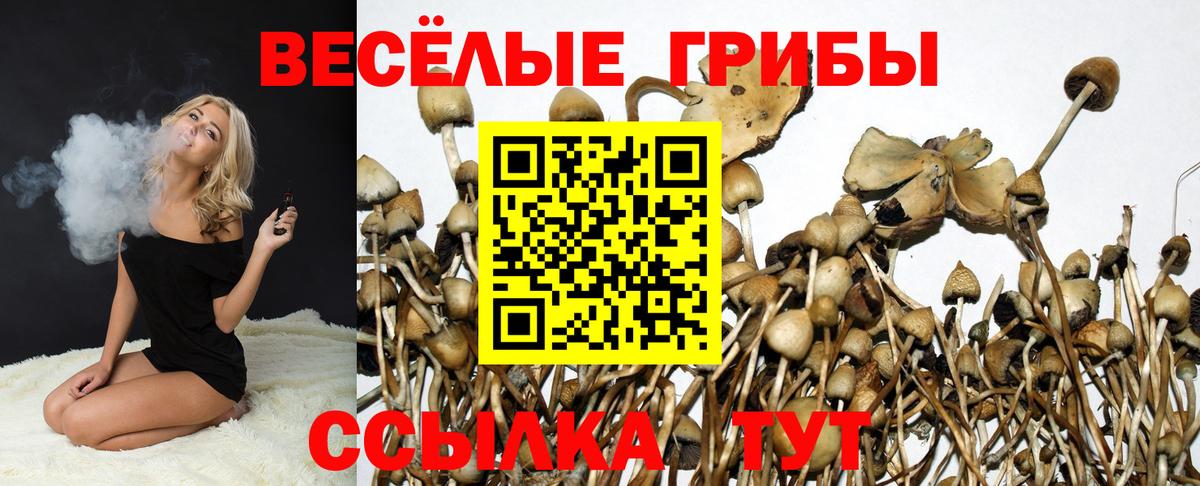 COCAIN  Марихуана  Качканар  Вход с VPN  Alpha-PVP СК кристаллы  Магазин наркотиков  Мефедрон кристаллы  ГАШИШ  Вейп ТГК 